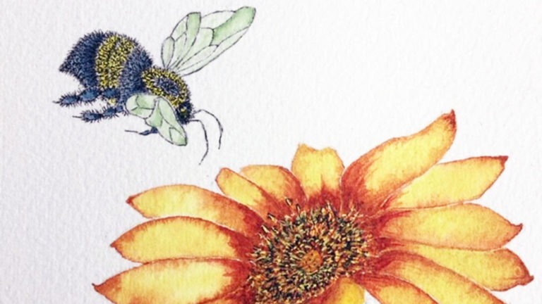 Bugs and Botanicals in Ink and Watercolor