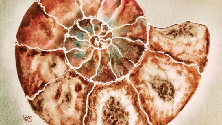 Ammonites in Watercolor