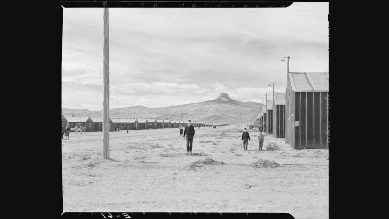 The Power of Stories: Remembering Japanese American Incarceration